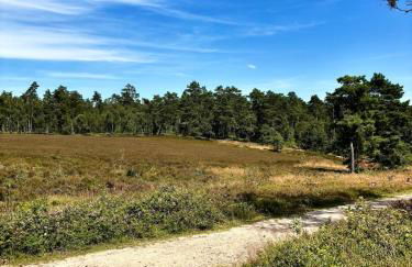 Lütt Heidjer Hus 5 Sterne DTV - Foto 49