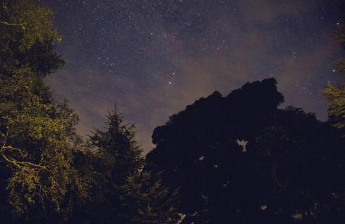 Deveron Valley Cottages - Foto 130