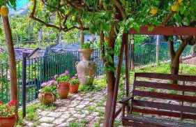 Il Limoneto degli Angeli - Foto 31