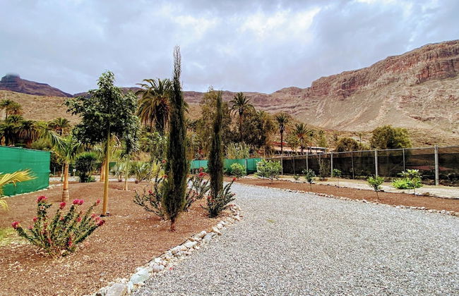 Renovated Tiny House in the Country Near Fataga - Photo 30