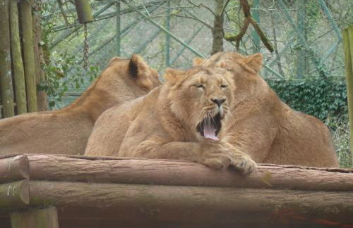 Muntham Holiday Apartments & Town House - Foto 32