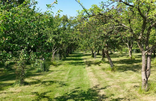 5 Star Holiday Home in Frederikshavn - Foto 19