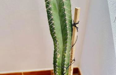 Casa Carol, un hogar fuera de casa. - Foto 3