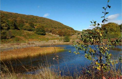 Tranquil Welsh Mountain Gem, Abertillery, Wales - Foto 71
