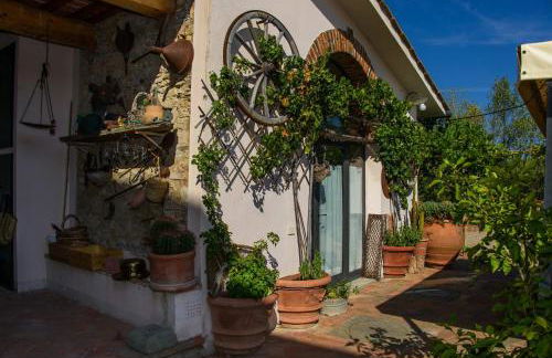 Agriturismo Olmi Grossi - Foto 21