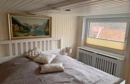 Ferienhaus Harz Idylle 3 - Foto 20