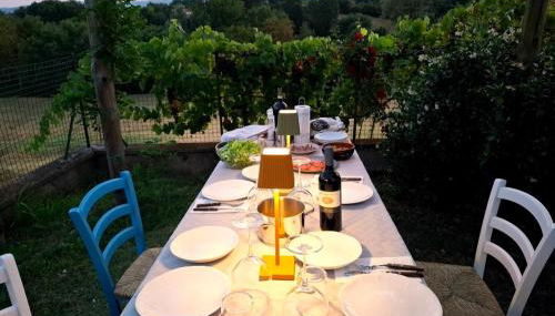 Agriturismo Podere Sant' Agnese - Foto 3, Garden, Garden view