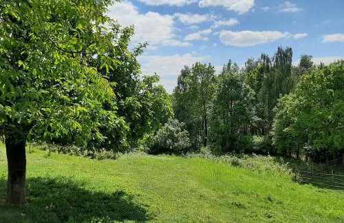 Gosp. Agroturystyczne Stary Gaj - Foto 57