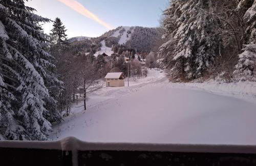Un refuge chaleureux au cœur du Mourtis - Foto 17