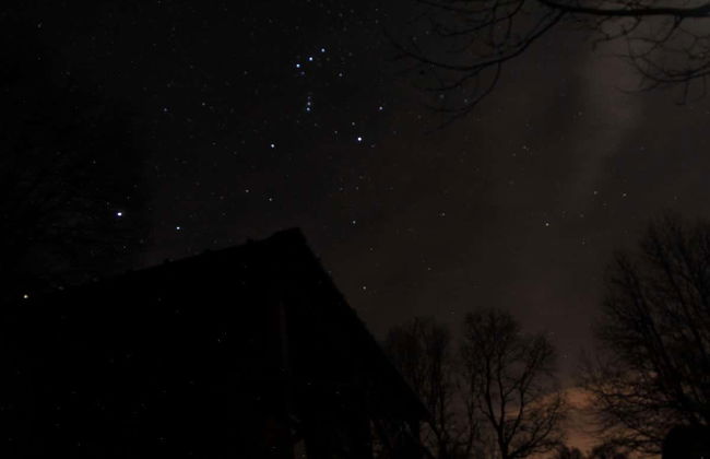 Observation des étoiles dans la forêt vettonne de Cabezabellosa - Photo 1