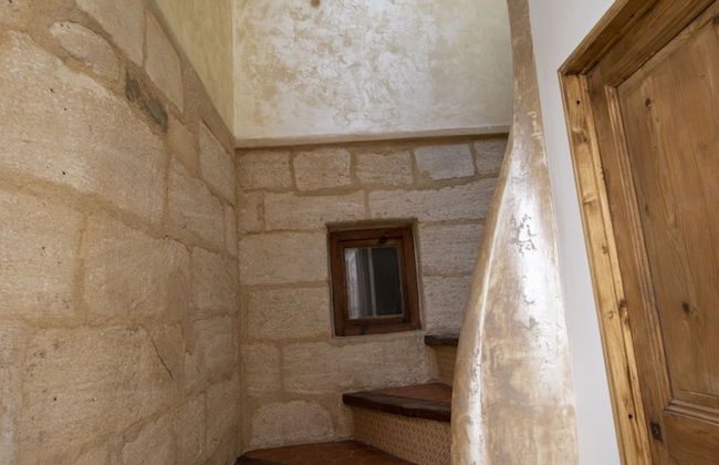 A L'OMBRE DU PALAIS - Photo 47