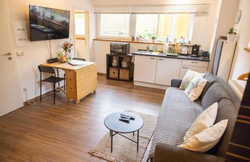Ruhiges 1-Zi-Apartment, ideal für Kurzaufenthalt für bis zu 4 Personen - Foto 15