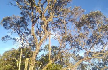 Pousada do Artista - Photo 18