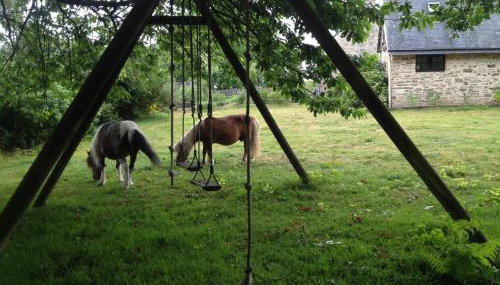 Gîtes calmes écologiques - Foto 2, Garden view