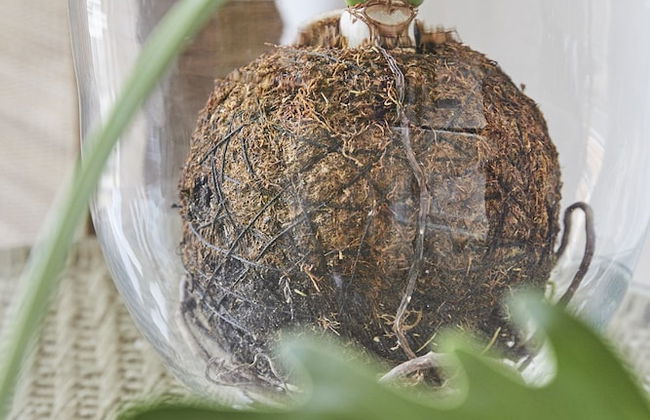 The Odyssey 404 - Foto 24