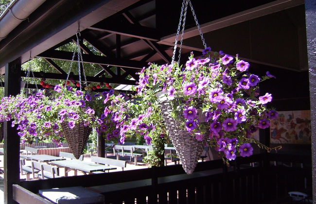 Ribe Byferie Resort - Foto 50