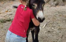 La roulotte rose rouge - Foto 11