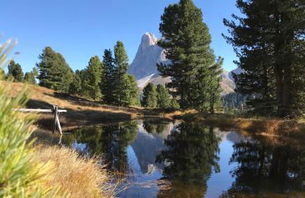 Jaiterhof - Photo 60