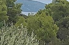 Bijela kuča - Foto 52