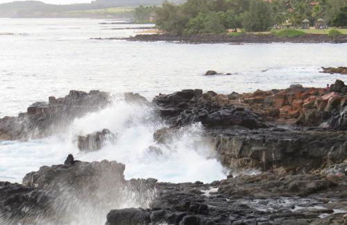 Puu Poa Ocean Bluff Condo, Incredible Views, Walk to Beaches, Pool & Tennis - Foto 46