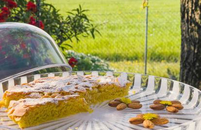 agriturismo" il glicine bianco" - Foto 20