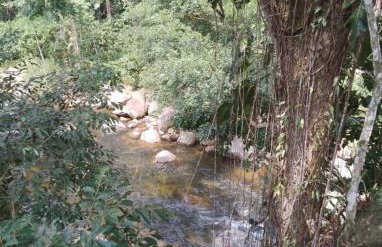 Aconchego da Cachoeira - Foto 25