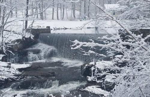 Cottage at Millpond Falls - A Romantic Escape - Foto 30