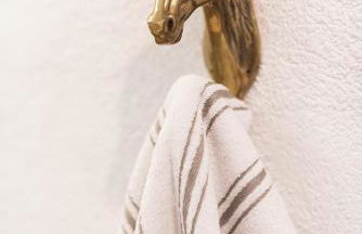 Domaine de Saint Pons - Foto 56