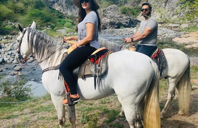 Casa Ave del Risco (Villa con río y cascada al interior) - Photo 35