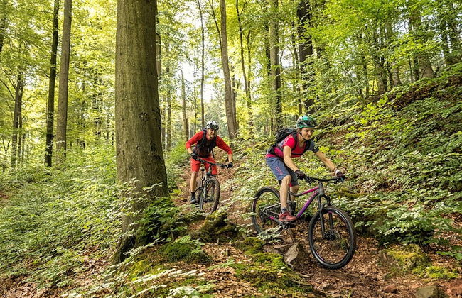 Ardennes Villa With Riverside Garden and Views - Photo 39