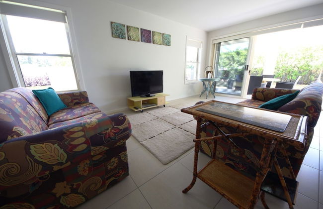 Geckos at South West Rocks - Photo 1