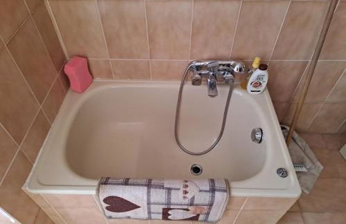 La Camelia - Foto 33