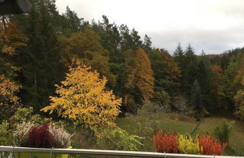 Apartment Waldidyll - Foto 7