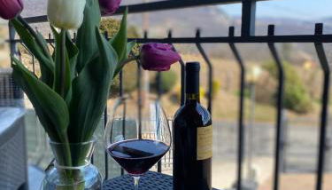 il tulipano - Photo 3