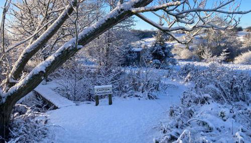 The Shepherd's Hut with cozy logburner - Foto 2