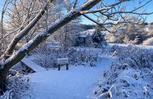 The Shepherd's Hut with cozy logburner - Foto 2