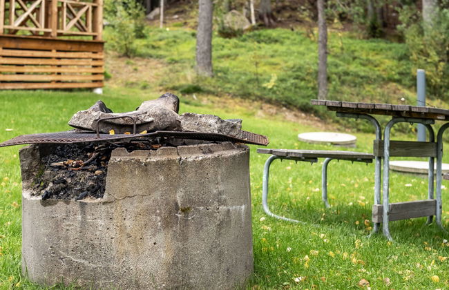 Kvisthån Tallen - Photo 23