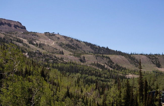 Spacious 2BR, 2BA for 6- Kristi - Photo 13