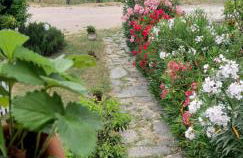 APPARTAMENTI DOLCETURISMO FONTECAIME...RELAX... - Foto 2