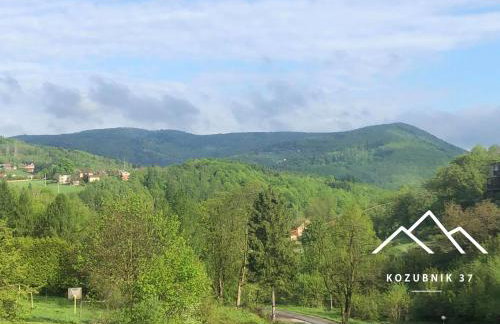 Kozubnik 37 - Foto 16