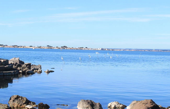 Excursión al Étang de Thau con degustación de ostras y paseo en barco - Foto 1
