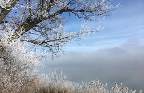 Ferienwohnung Dausacker - Foto 30
