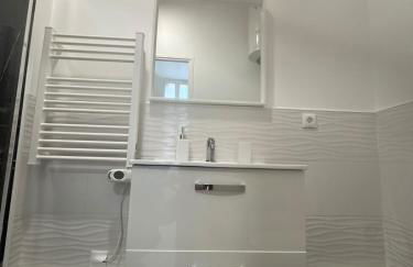 Lune Argentée - Centre ville Clermont Ferrand - Foto 9