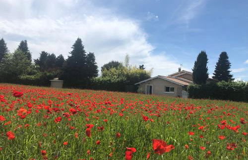 Le Jacquéron - Foto 2