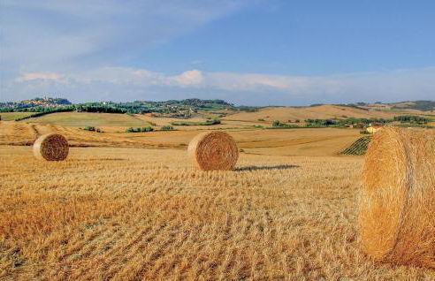 2 Bedroom Amazing Home In Orentano - Foto 38