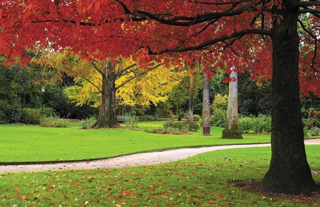 Quest Albury On Townsend - Photo 27