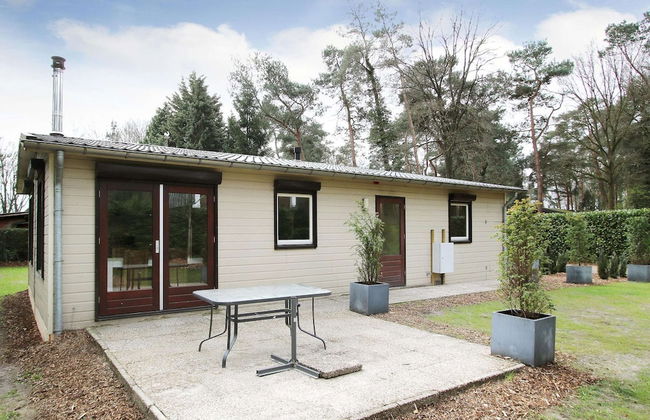 Peaceful Nature Escape in Meijel - Photo 52