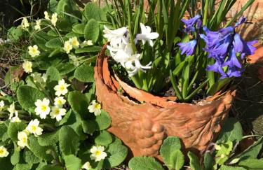 Godshill Park Cottages - Foto 16