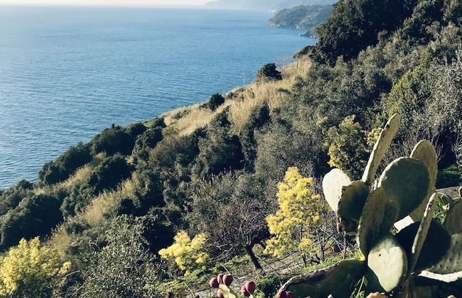 Affittacamere Creuza de Ma' - Photo 32