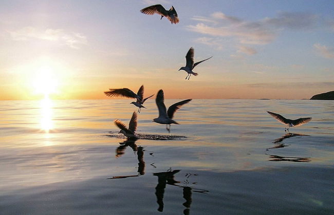 Holiday Home in Inndyr - Foto 24